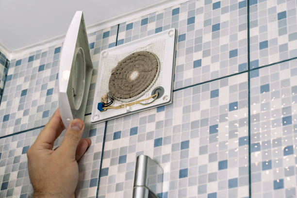 Best Local Air Duct Cleaning Services  in Plainview, TN