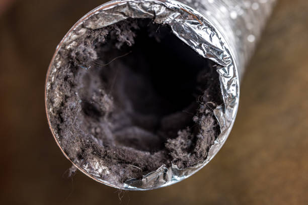 Best Best Air Duct Cleaning Company  in Plainview, TN